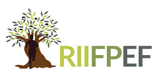 Red Iberoamericana de Investigación en formación del profesorado de Educación Física (RIIFPEF – AUIP)